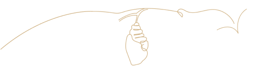 Arrow to the right with a cocoon