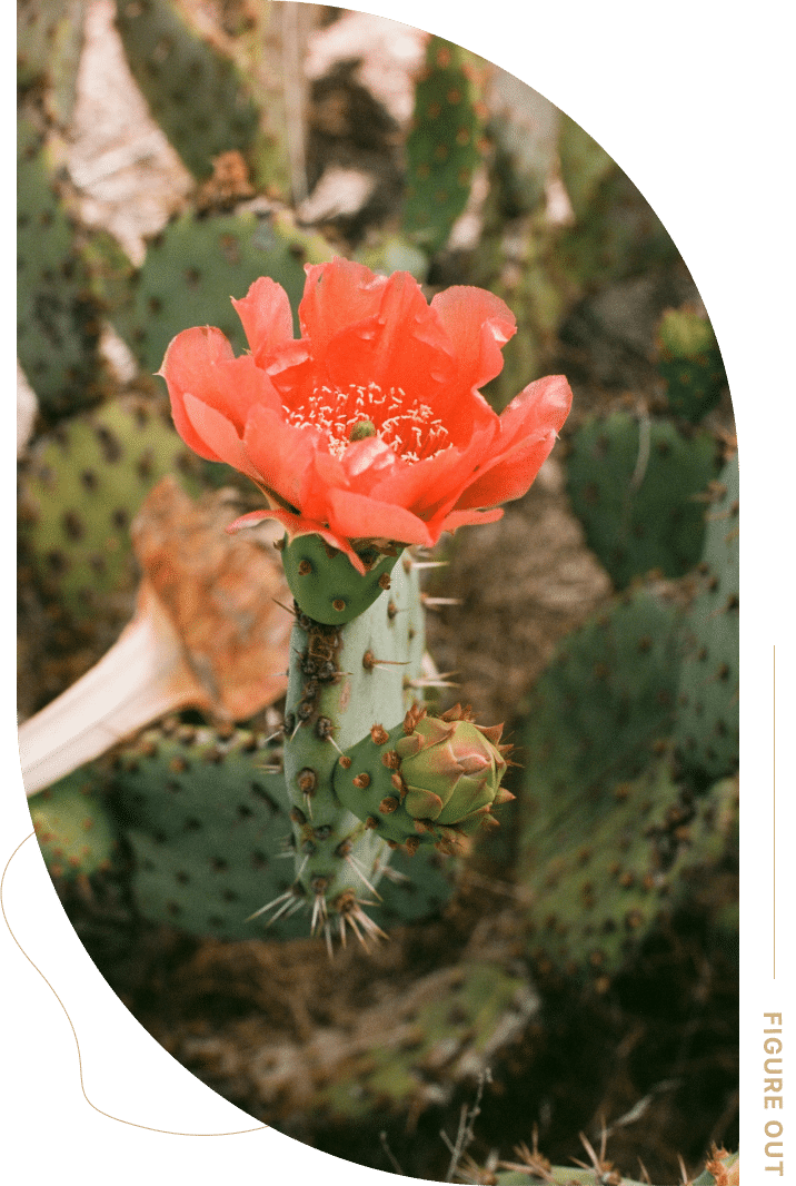 Therapy helps you grow and find solutions—start your journey with a trusted therapist in Ogden.