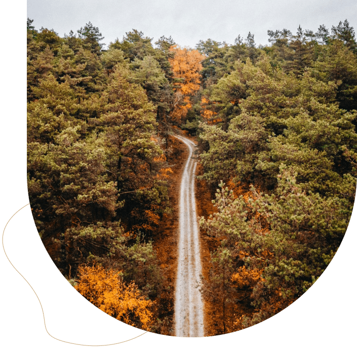 A winding path through the forest, symbolizing growth and transformation with ACT therapy.