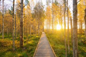 How-Does-EMDR-Therapy-Work