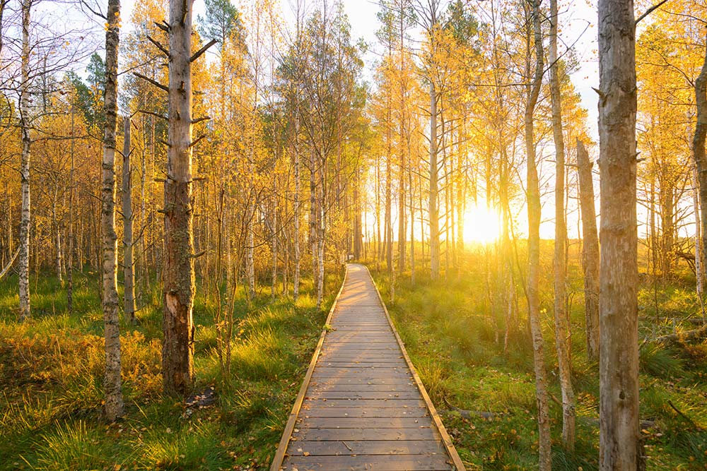 How-Does-EMDR-Therapy-Work