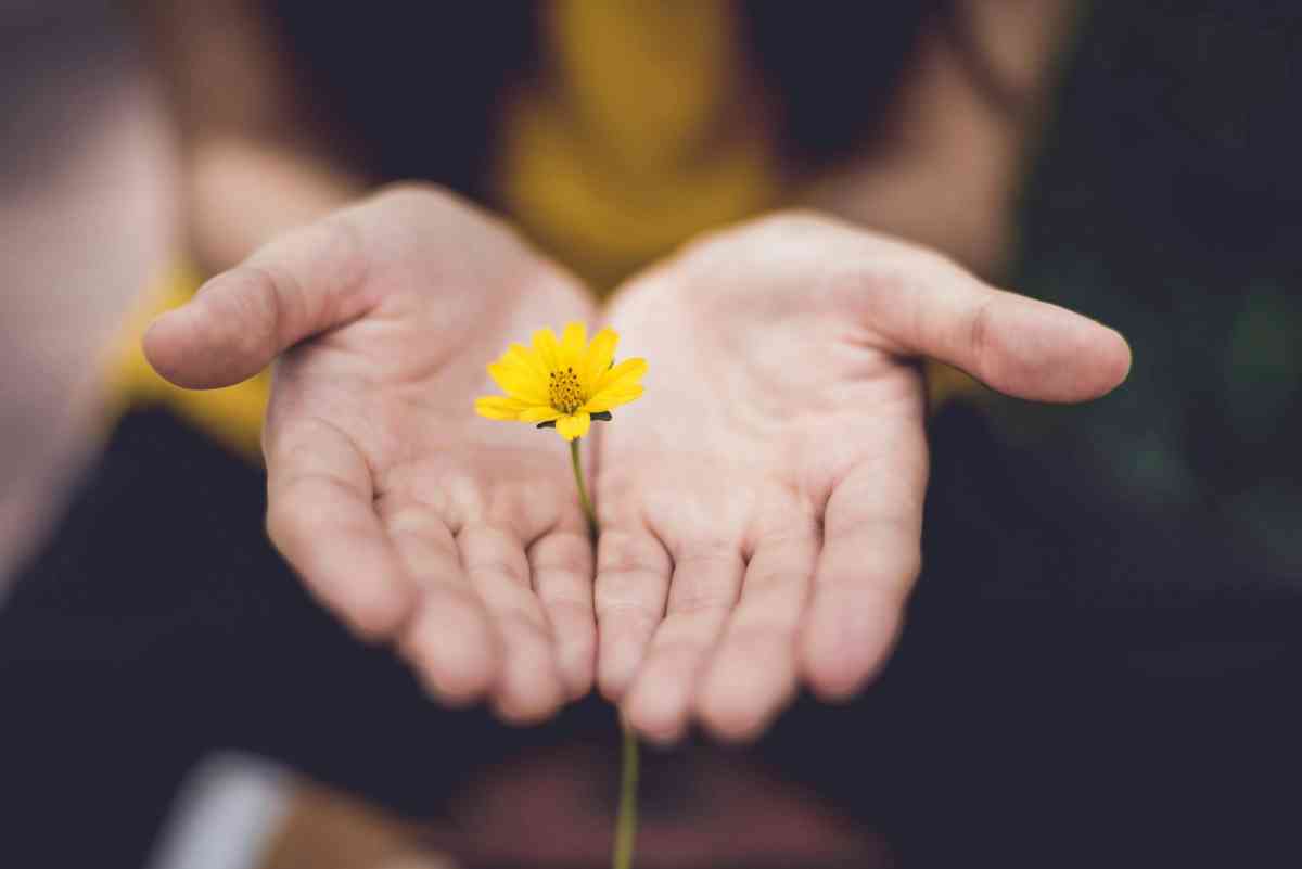 Open hands gently holding a yellow flower, representing hope, healing, and growth through anxiety therapy.