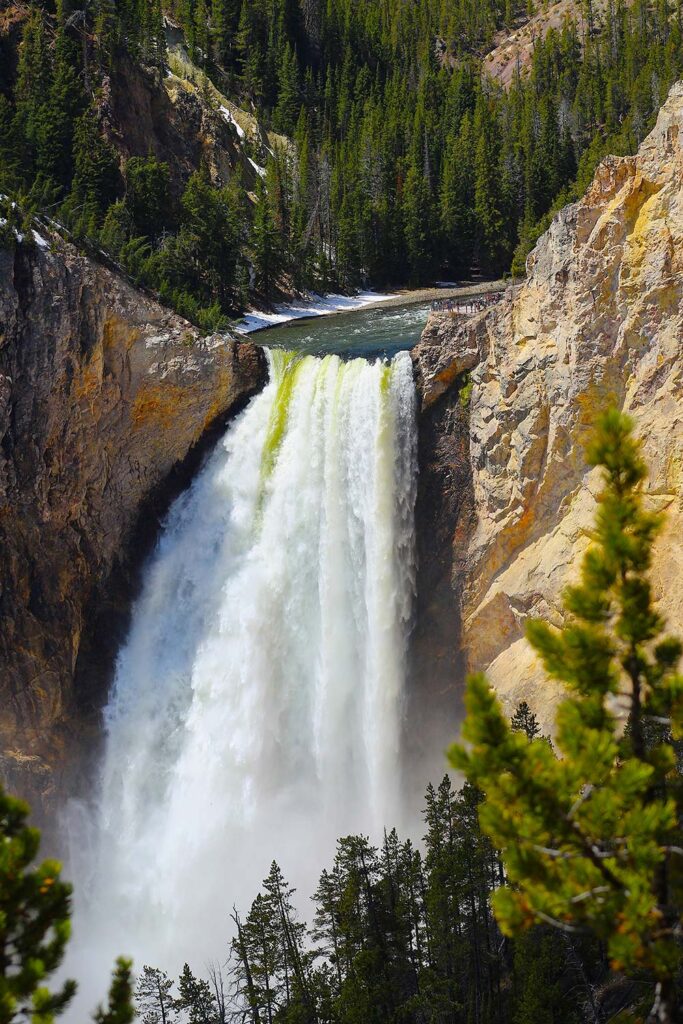 Powerful waterfall plunging between yellow cliffs and pine trees.