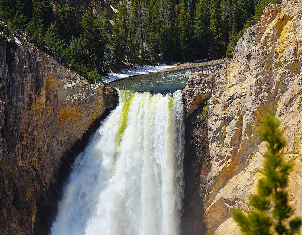 Powerful waterfall plunging between yellow cliffs and pine trees.